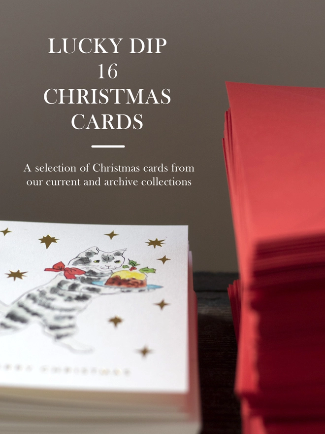 Lucky Dip Christmas Cards set showing a stack of gold foil cat with christmas pudding christmas cards and festive red envelopes
