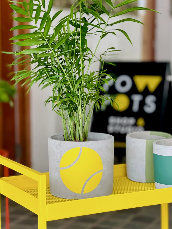 Concrete plant pot with yellow tennis ball design and a palm plant on a yellow trolley