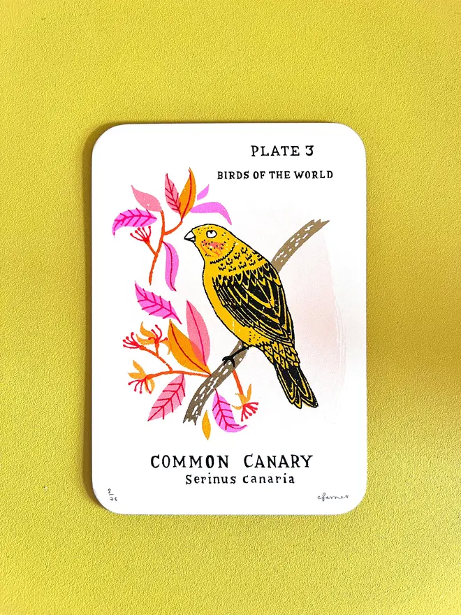 Canary Screenprint On Gold Edge Card, a colourful bird design on a white screenprint against a yellow backdrop. 