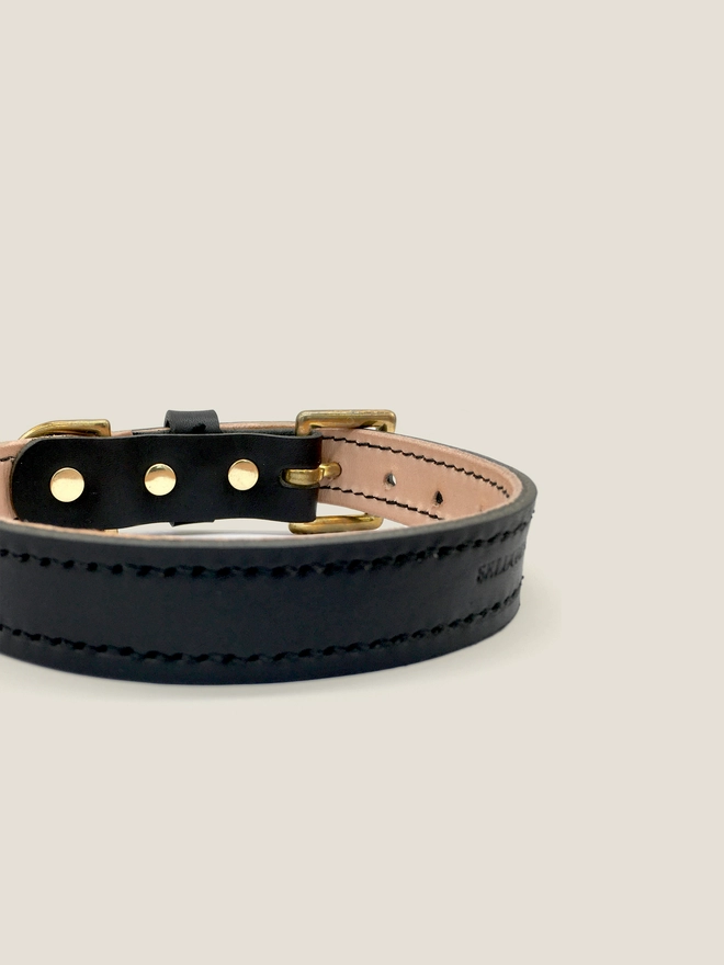 Close Up Of Black Leather Dog Collar 