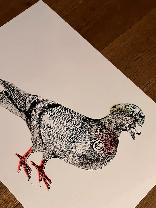 Punk pigeon lino print, with symbols, coloured with blue and pink paint with on a white background. 