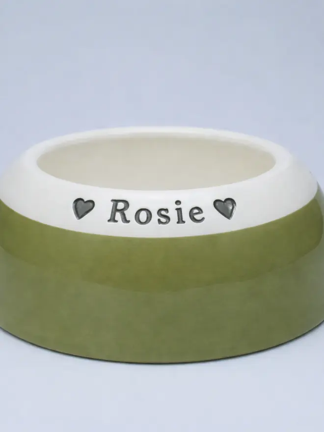 Cavalier King Charles Ear Free Bowl in Mossy Haven