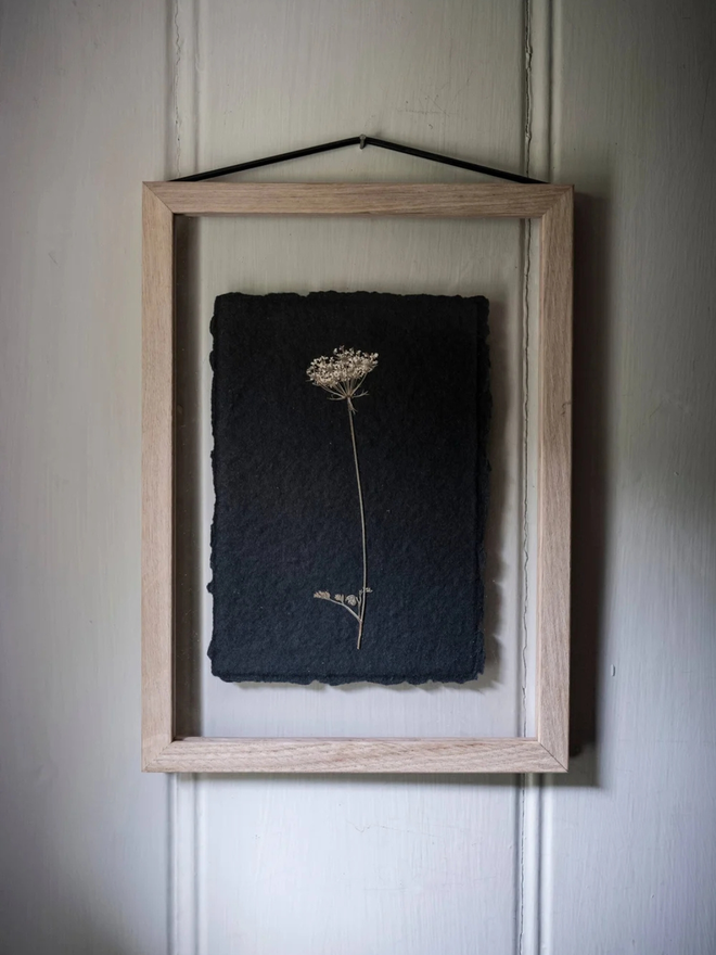 pressed wildflower framed art