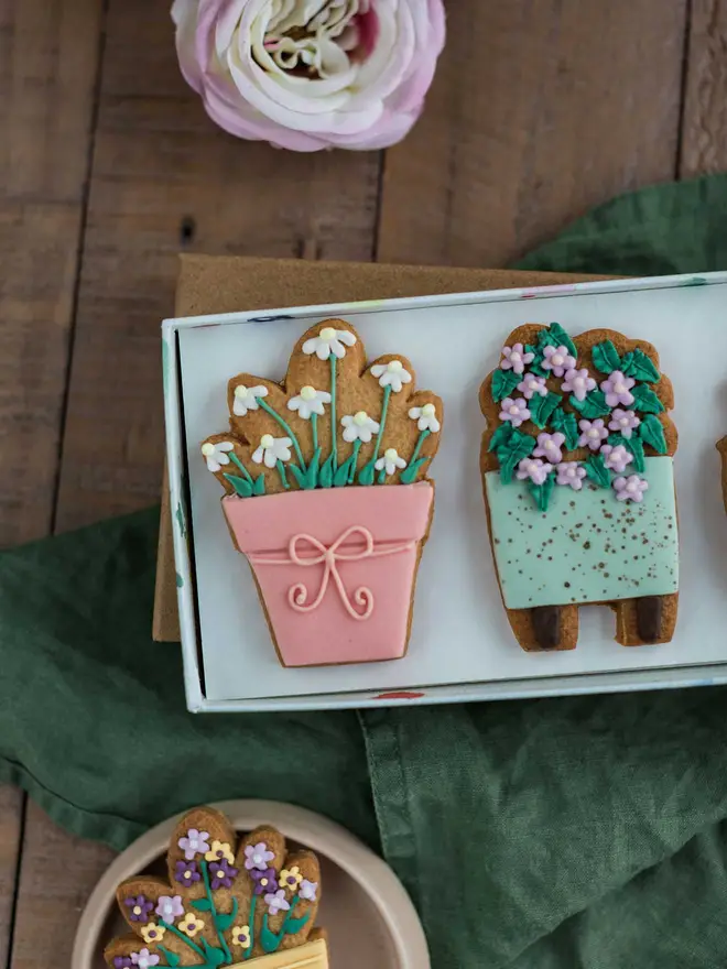 House Plant Biscuit Gift Set