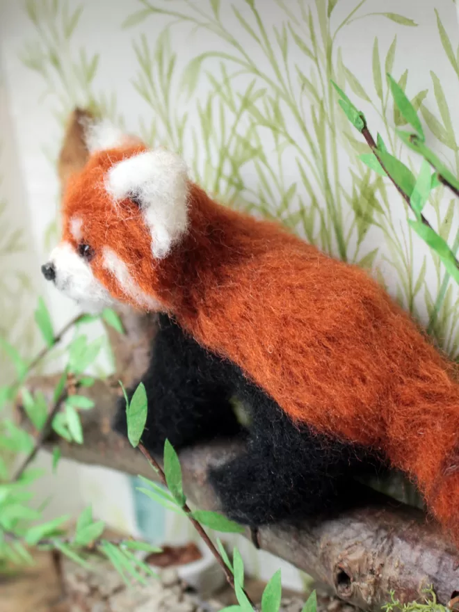 Close-up of a needle-felted red panda