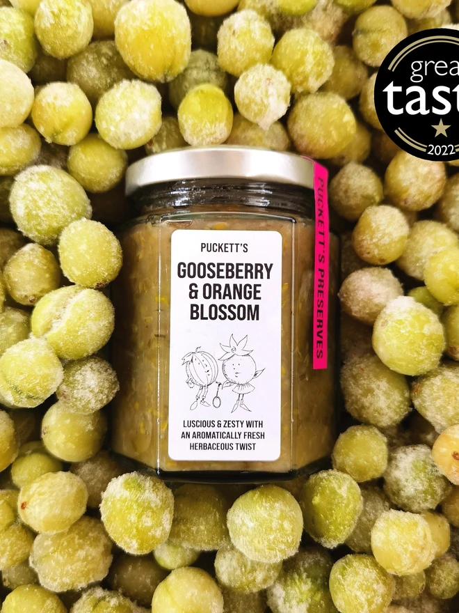 gooseberry and orange blossom jam. a jar of jam photographed among gooseberries. 