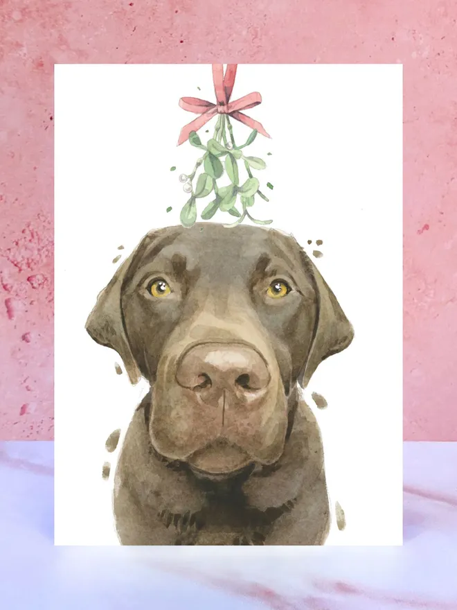 chocolate brown labrador dog mistletoe christmas card