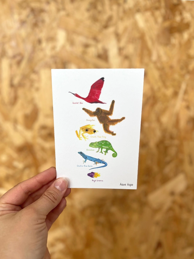 a greetings card featuring illustrations of animals in colours making up the rainbow with the text “have hope”