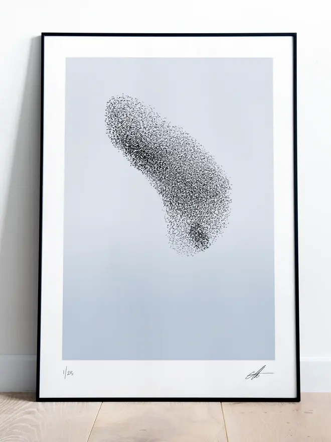 Murmuration 8 Giclée Print 