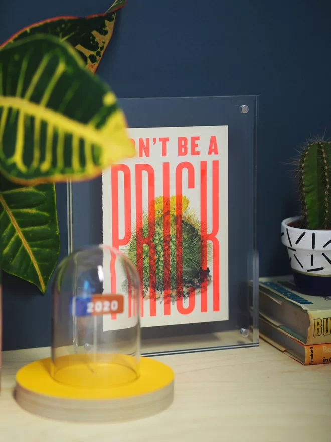 Photograph of a typographic screen print with the words 'don't be a prick' hand printed over a vintage book page featuring an illustration of a flowering cactus