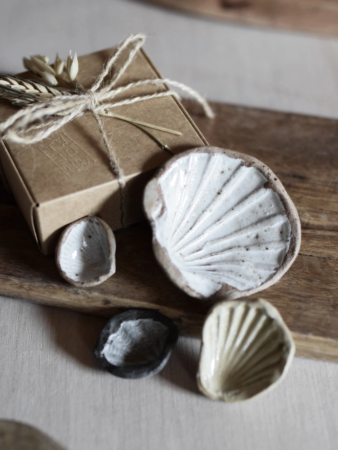 ceramic seashell trinket worry stone