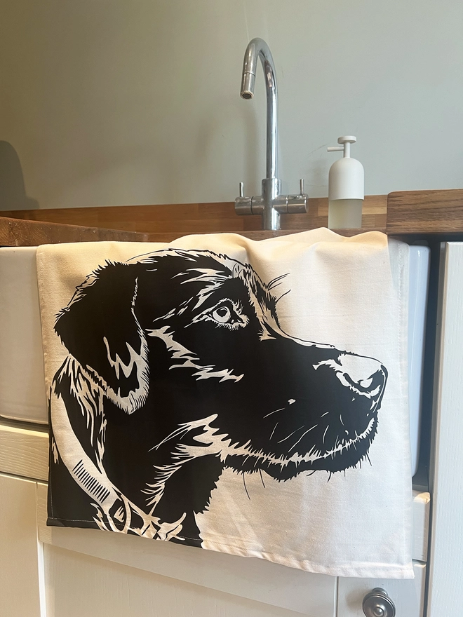folded Labrador tea towel hanging over a belfast sink