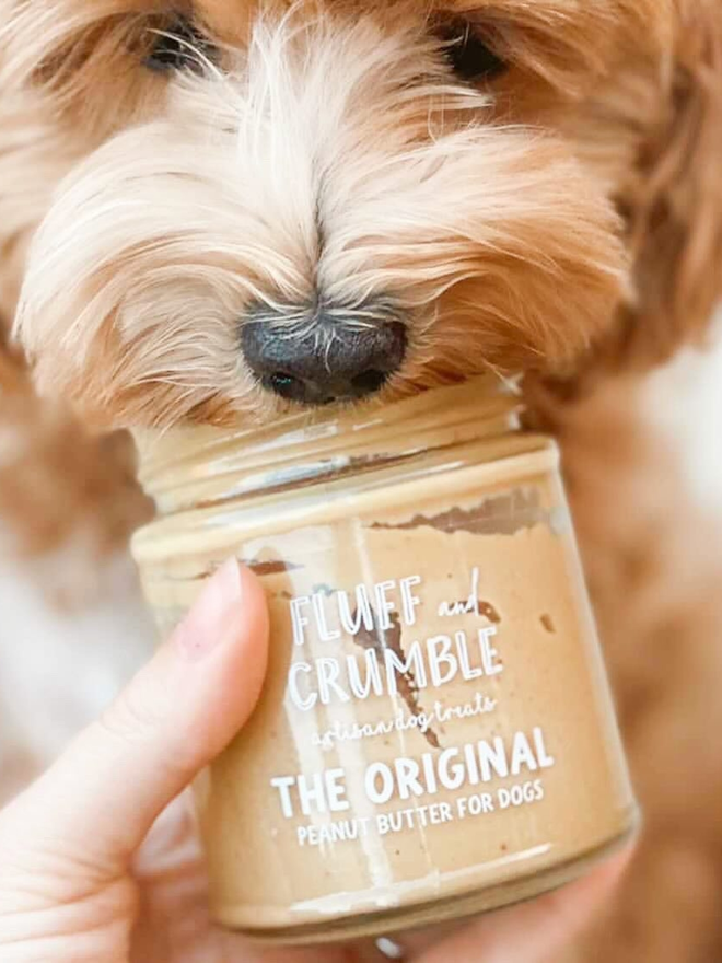 peanut butter for dogs in reusable jar