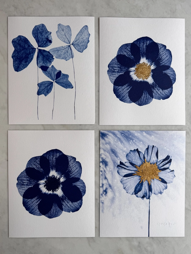Blue and white set of four Botanical X-ray print from an original Cyanotype 