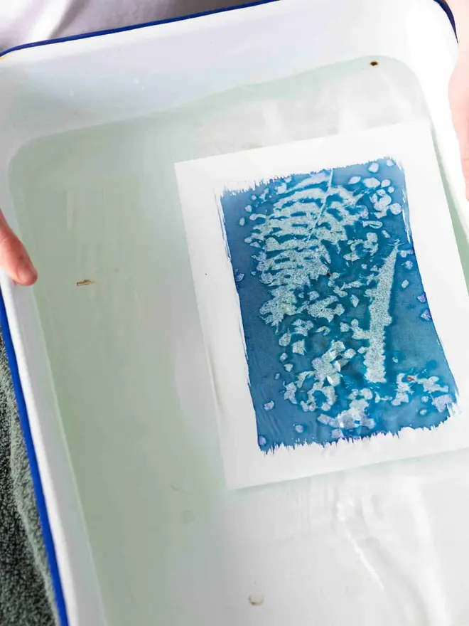A6 Sunlight Cyanotype Kit To Create Prints At Home 