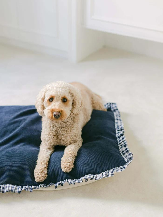 poodle on navy corduroy and gingham dog bed