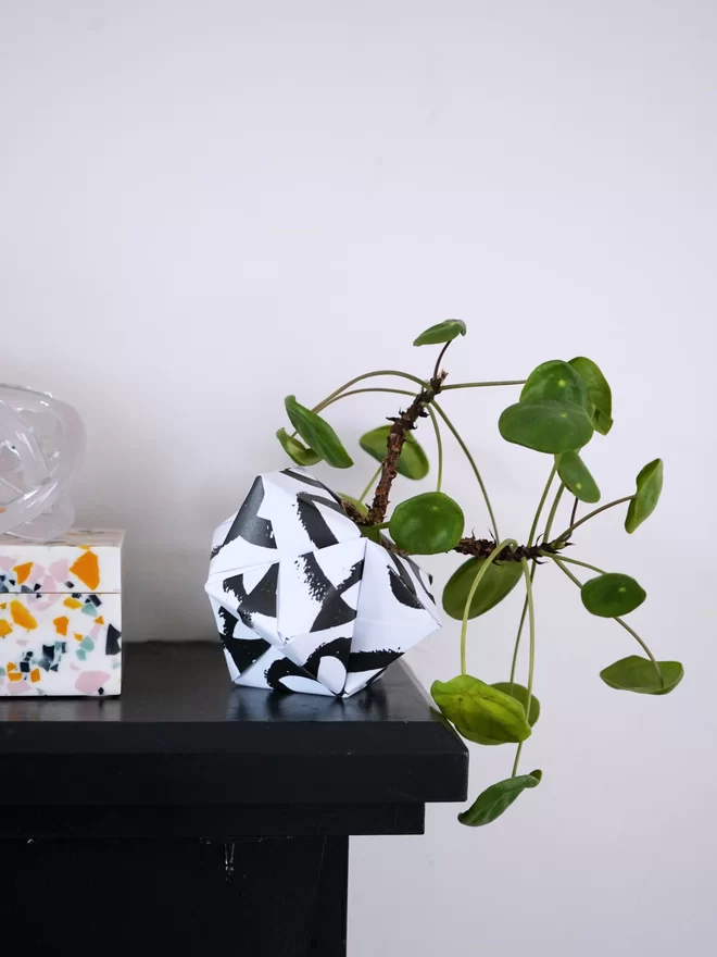 Monochrome patterned paper plant pot holding a pancake plant sitting on a mantel piece with other trinkets.