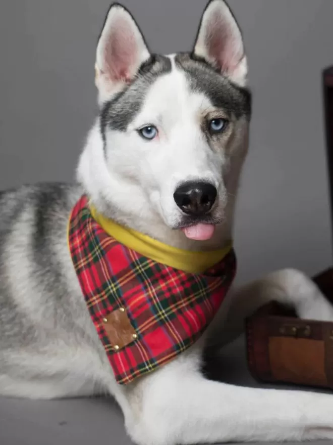 Timpa Tartan Dog Bandana | Red