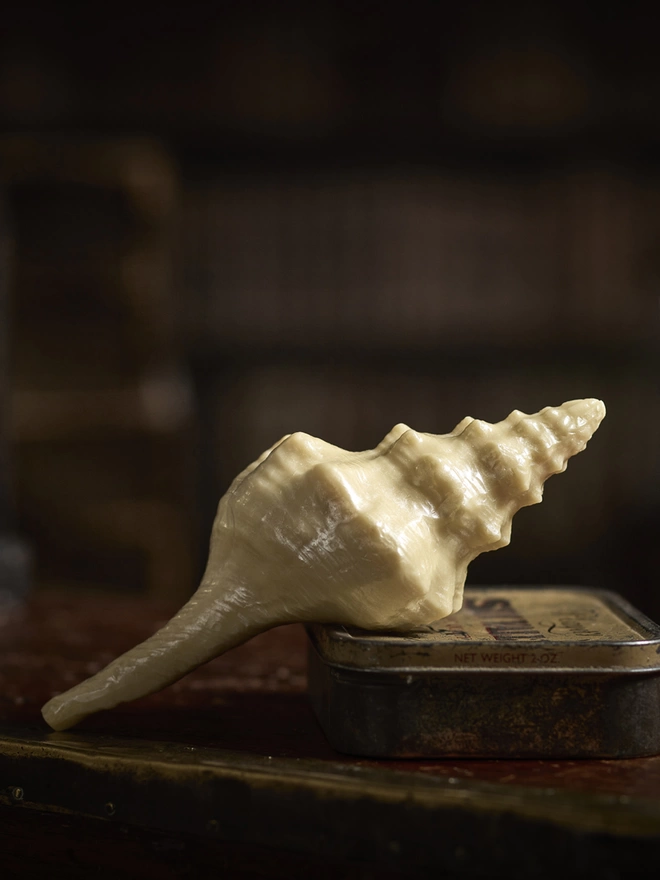 Large conch sea shell made in white chocolate sitting on an antique tin