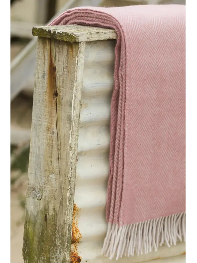 Lambswool dusty pink throw with white tassels.