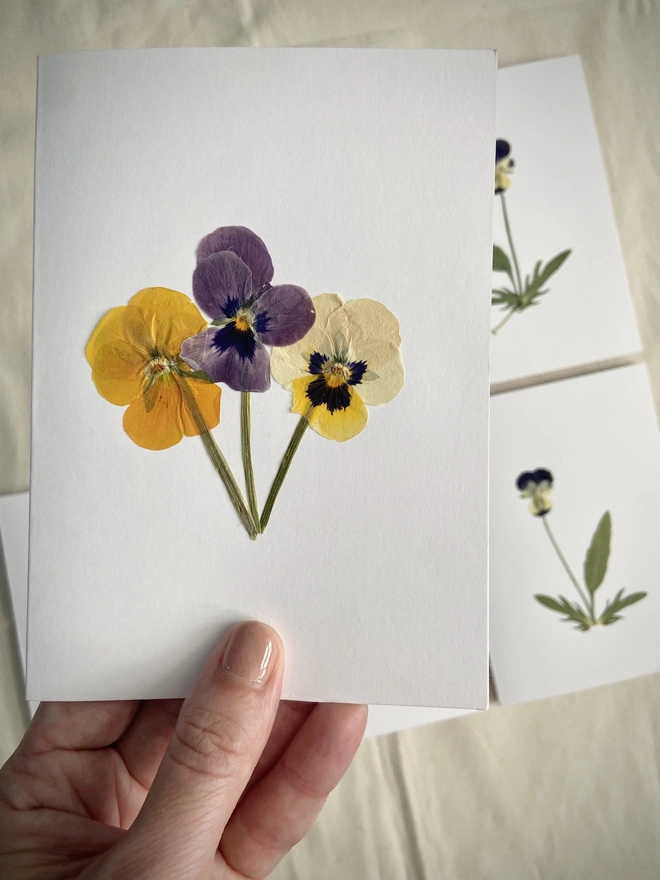 Hand holding pressed pansy flowers greeting card