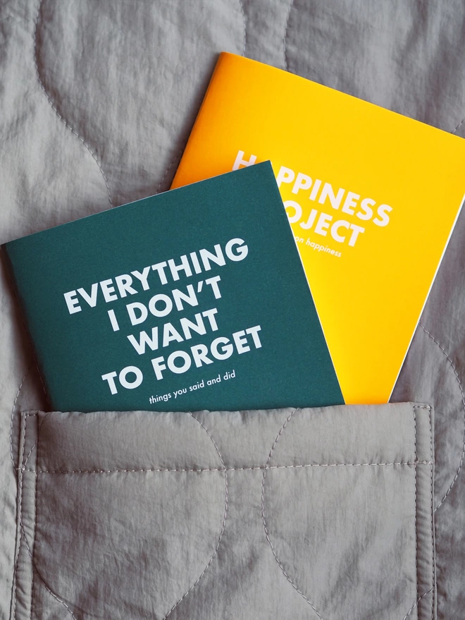 two pocket notebooks slotted into a pocket. One notebook says everything I don't want to forget and the other says happiness project.