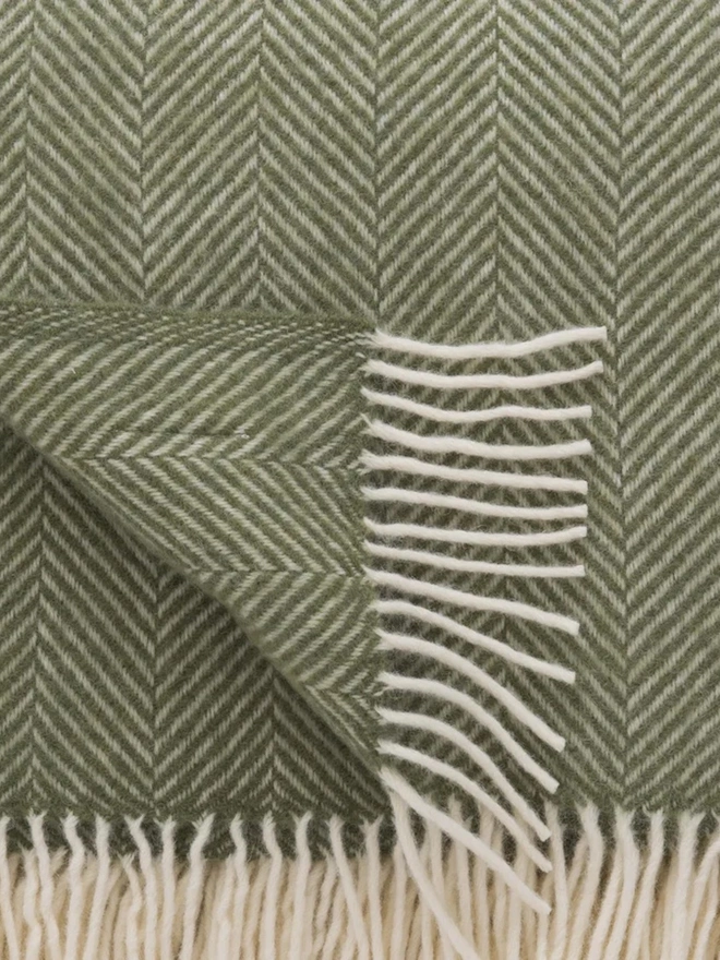 Lambswool olive throw with white tassels.