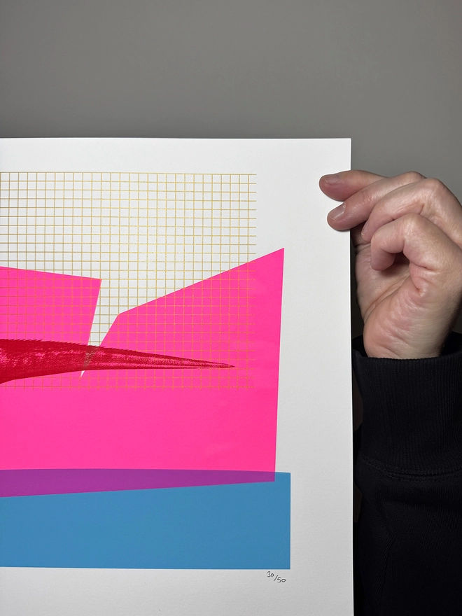 Rave Raptor_A3 Screen Printed Poster_Holly and Co_right close up