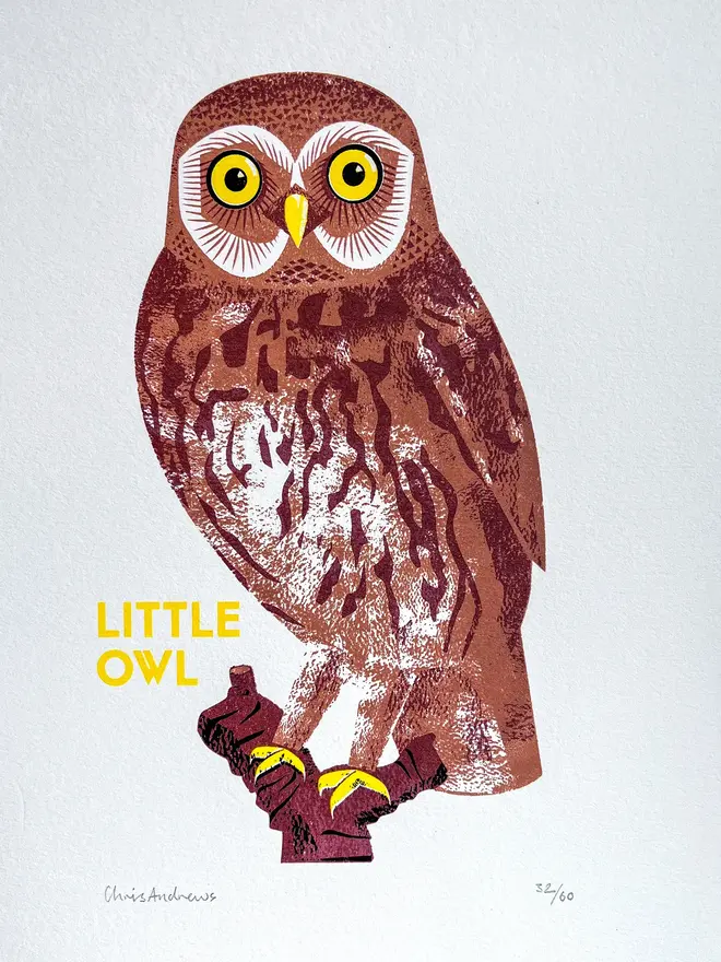 illustrated little owl print.