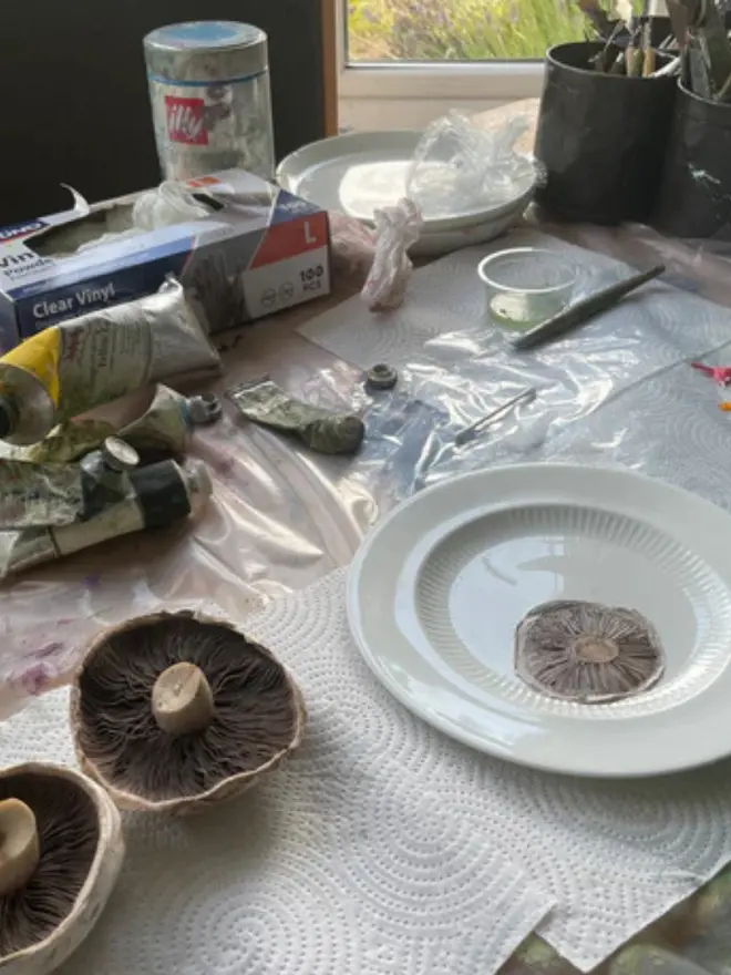 Still life study in the studio.