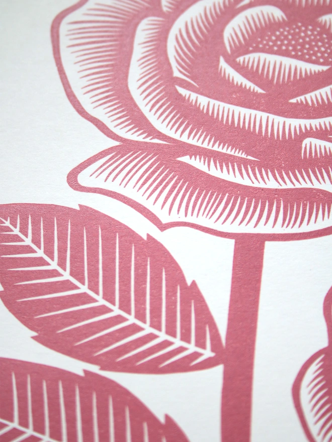 Pink rose linocut art print
