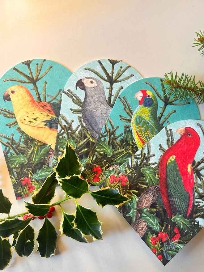 Four arched Christmas cards. The designs feature four different parrots in varying bright colours. The parrots are placed on a pine Christmas tree with holly. The set comes as a set of 8 with 2 of each of the cards shown.
