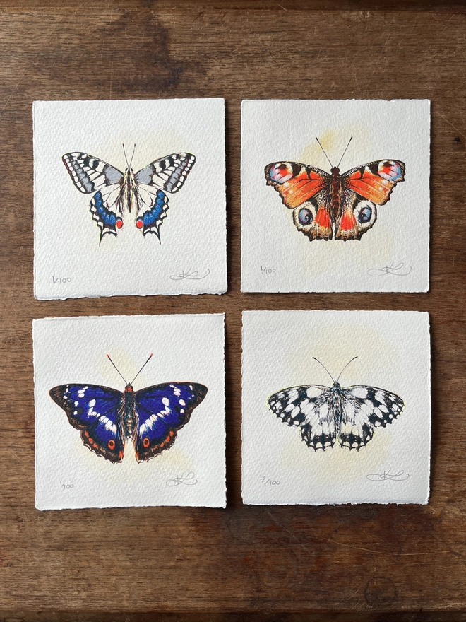 Swallowtail Butterfly Screenprint