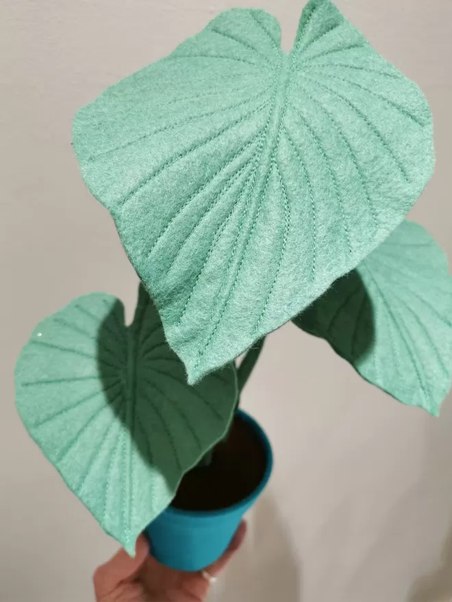 Handmade Alocasia Felt Plant