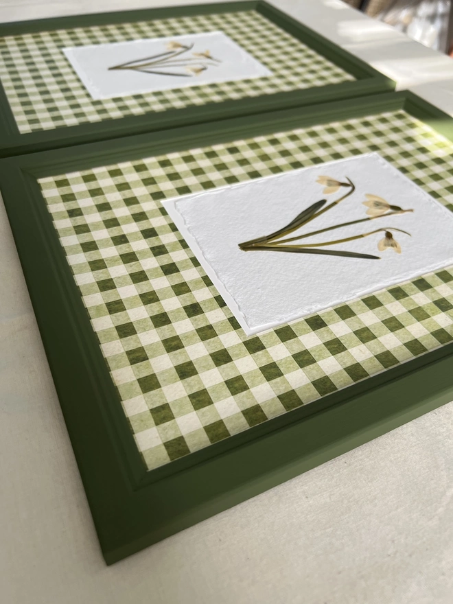 two painted frames with pressed snowdrop flowers