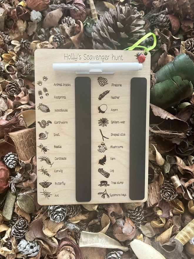 A personalised wooden scavenger hunt board titled “Holly’s Scavenger Hunt,” shown on dried leaves and pinecones with engraved nature icons, two black wipe‑clean sections, and a white marker on a green cord with a ladybird bead.