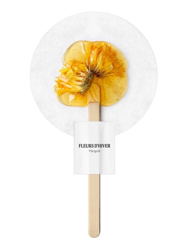 Fleurs-d-hiver-marigold tea on a stick