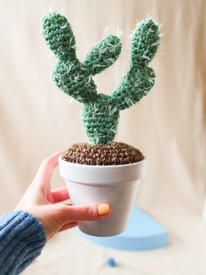 Handmade spiky crocheted cactus in terracotta pot
