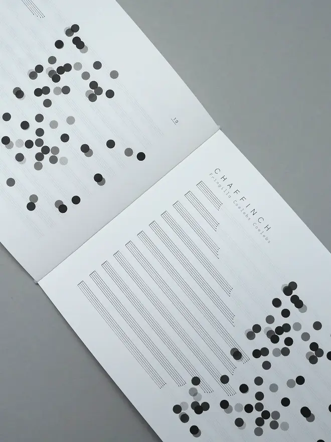 Dawn Chorus Book, open on a page. 