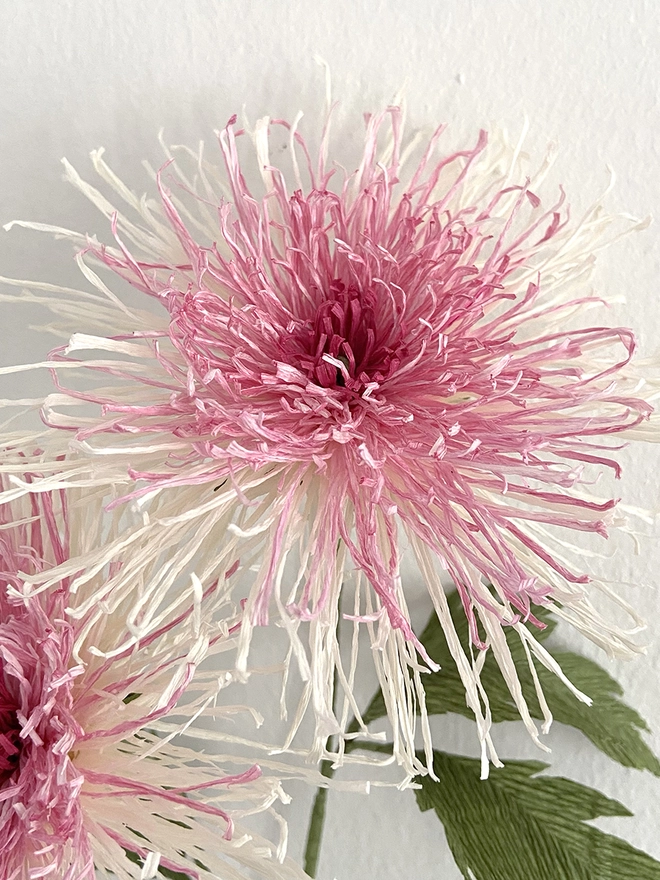 Crepe Paper Japanese Chrysanthemum DIY Kit