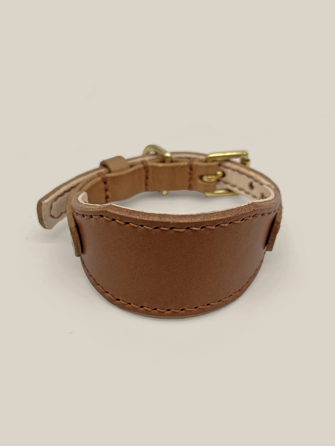 caramel sighthound leather dog collar front view