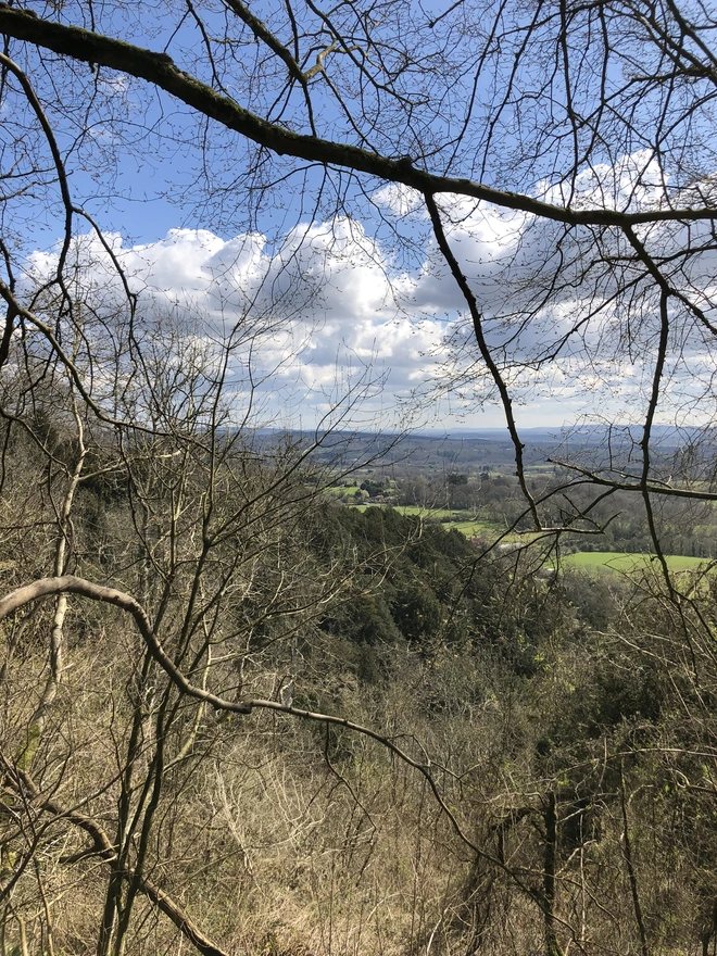 The Hampshire Hangers