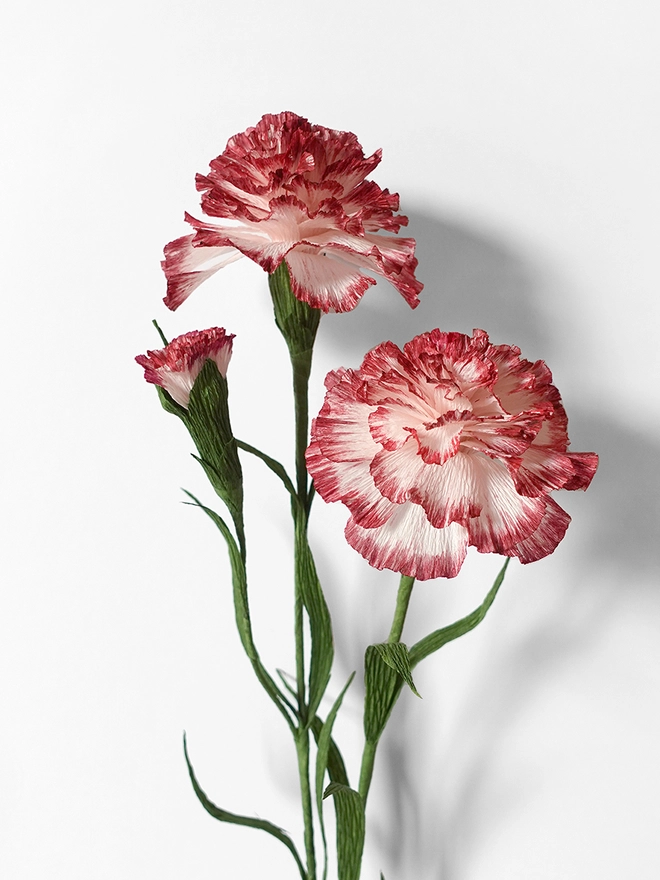Crepe Paper Carnation DIY Kit