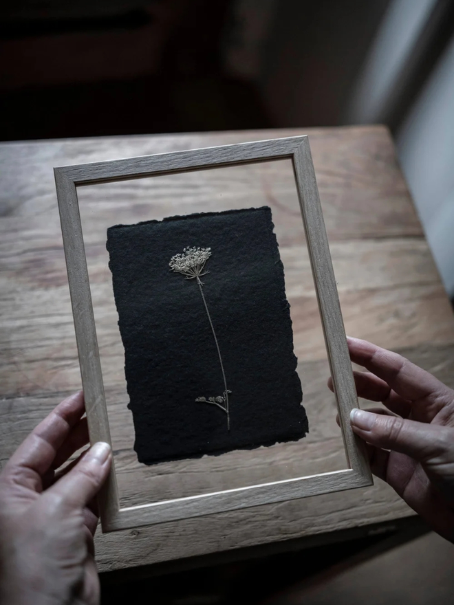 pressed wildflower framed art