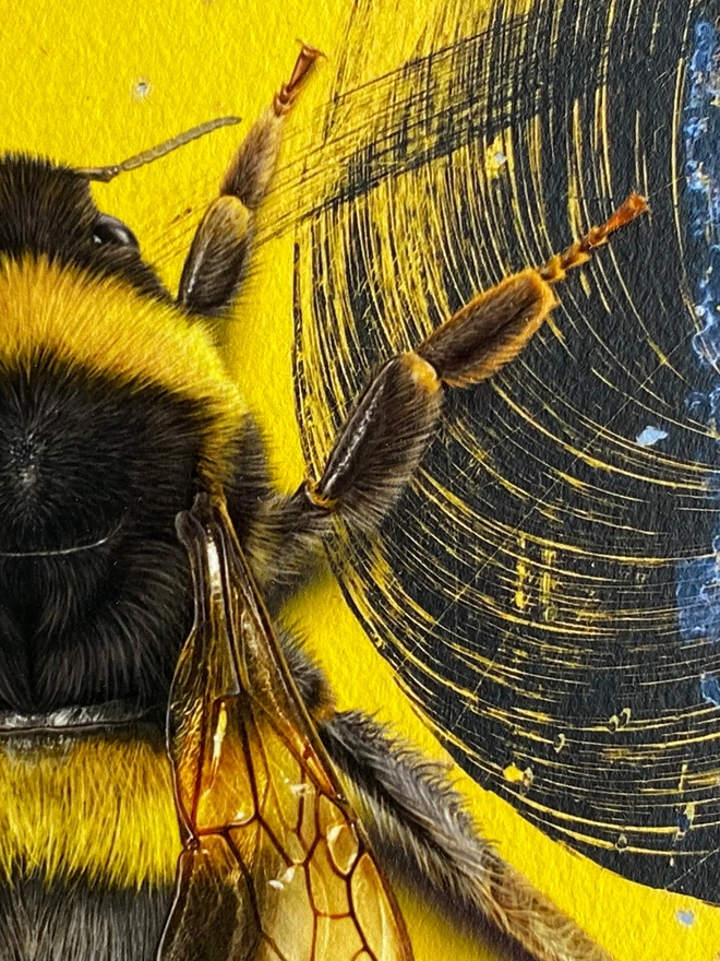 Macro close up details of bumblebee painting showing finer details of painting.