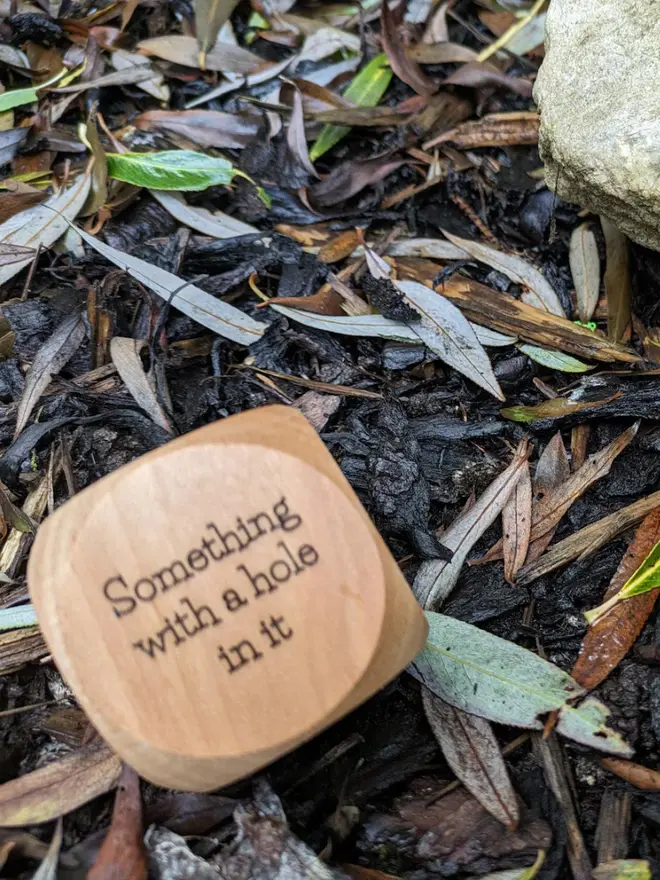 Large beech wood nature scavenger hunt dice engraved with prompts such as ‘Something Smooth’ and ‘Something Black,’ shown outdoors on leaf litter beside a stone