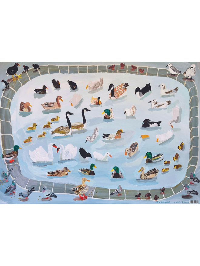 Duck wrapping paper