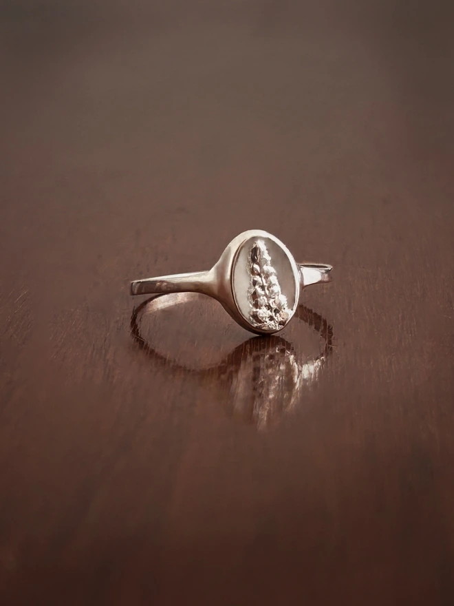 Sterling Silver Signet Ring with a real fern leaf casting representing enchantment in the language of flowers on a dark background