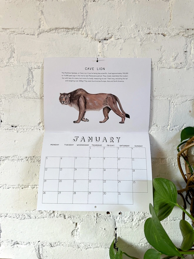 Calendar open to January featuring illustration of a Cave Lion