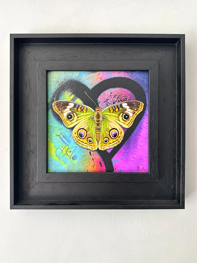 A photo of a square artwork showing a black spray paint heart on a multi coloured spray paint background. A colourful Buckeye butterfly sits centrally in the heart. The frame is a black frame with no glass and displayed on a grey wall.